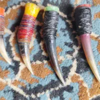 خارمرغ یک جفت خارمخلی یک جفت بازاری بفروش میرسد