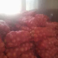 پیاز فلات|عمده‌فروشی|بجنورد, |دیوار