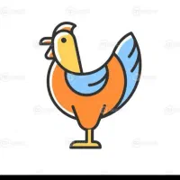 مرغ گوشتی حراج