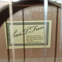 گیتار Bestfun E150|گیتار، بیس، امپلیفایر|اصفهان, سپاهانشهر|دیوار