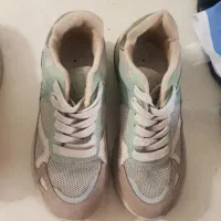 پوشیدنی ها|کیف، کفش، کمربند|گرگان, |دیوار