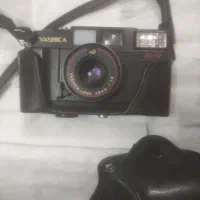 یاشیکا ژاپنی