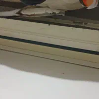 فروش کولر گازی