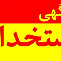 استخدام نیروی کار