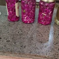ترشی کلم قرمز و خیار شور تار و خیار شویت تازه|خوردنی و آشامیدنی|مهاباد (آذربایجان غربی), |دیوار