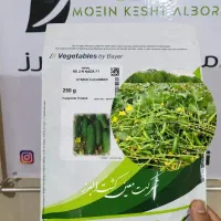 بذر خیار هیبرید 2N نادا سمینیس (اصل)
