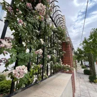 مالک محترم اخرین استعلام رو از ما بگیر / خلج