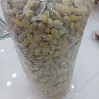 بادام زمینی غلاف دار|عمده‌فروشی|شبستر, |دیوار