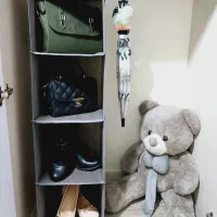 نظم دهنده طبقاتی وکشو