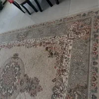 قالی ۱۲ متری