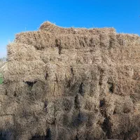 یونجه|لوازم جانبی حیوانات|ایواوغلی, |دیوار