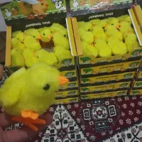 جوجه عمده. خرده