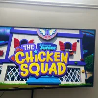 تلویزیون ۵۵ الجی|تلویزیون و پروژکتور|گلبهار, شهر جدید گلبهار|دیوار