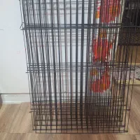 پارک حیوانات