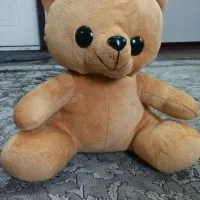خرس عروسکی
