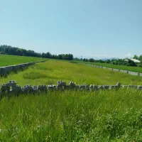 فروش-1150متر-سند-تک-برگ-دارای-پروانه-ساخت-200متری