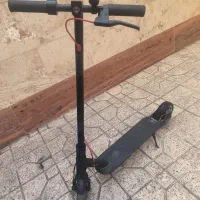 اسکوتر شیامی