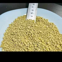 کود مش و گرانول|خدمات باغبانی و درختکاری|رشت, نظری|دیوار