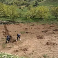 زمین باغچه ای در طالقان معاوضه با خودرو هم دارم|فروش زمین و ملک کلنگی|طالقان, |دیوار