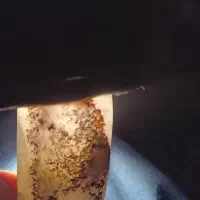 عقیق طرح رخ داخلش|جواهرات|زابل, |دیوار