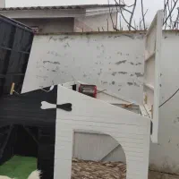 لانه ی سگ تمام چوب نراد روس و رنگ ماشین|لوازم جانبی حیوانات|محمودآباد, |دیوار