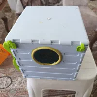 لانه طوطئ