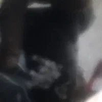 پیداشدن‌ یک‌ عددکوشی‌ سامسونکا۵۱