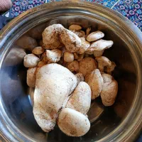 قارچک کما