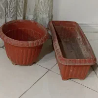 یک گلدان مستطیل شکل و یک گلدان گرد|گل و گیاه طبیعی|تهران, خاوران|دیوار