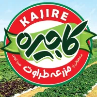 سرایدار نگهبان