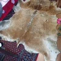 چرم طبیعی گاو|صنایع دستی و سایر لوازم تزئینی|تهران, امیریه|دیوار