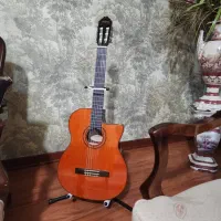 گیتار واشبرن|گیتار، بیس، امپلیفایر|چابکسر, |دیوار