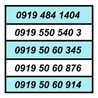 0919.52339|سیم‌کارت|کرج, عظیمیه|دیوار