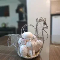 جا تخم مرغی