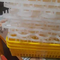 شونه تخم برای دستگاه جوجه کشی