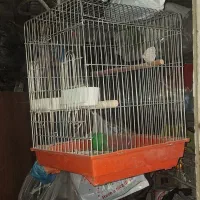 قفس پرنده