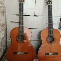 دوعدد گیتار سالم ونو