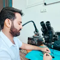 تعمیرات وخدمات موبایل در کرمان با پیک و ضمانت