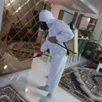 سمپاشی تخصصی تمام حشرات سوسک ساس موریانه موش و...