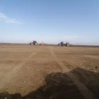 تسطیح لیزری اراضی کشاورزی با اسکریپر|خدمات باغبانی و درختکاری|گنبد کاووس, |دیوار