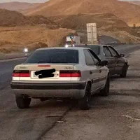 زانتیا تقویت خاص