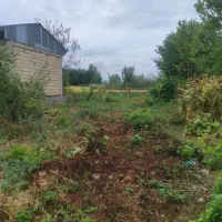 ۲۵۰ متر زمین ۱۰۰ متر مسکونی بقیه باغی داخل طرح|فروش زمین و ملک کلنگی|رشت, چله خانه|دیوار