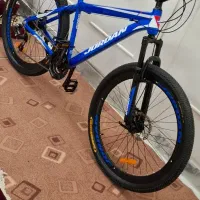 دوچرخه جردن