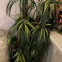 درختچه مصنوعی