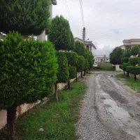 خدمات حرفه ای فضای سبز