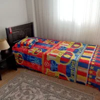 تخت تک نفره با تشک