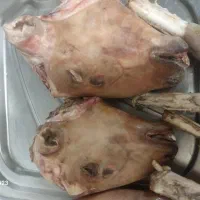 کله پاچه بره و شیشک پاچه گوساله و سیرابی|خوردنی و آشامیدنی|خمینی‌شهر, |دیوار