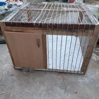 تعدادی قفس بزرگ و کوچک