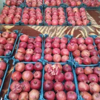 تخته میوه فروشی کف وانت|فروشگاه و مغازه|پاکدشت, پاکدشت (مامازند)|دیوار