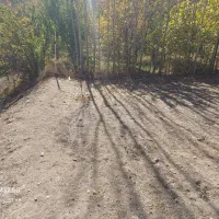 فروش زمین ییلاقی ابگرم لاریجان|فروش زمین و ملک کلنگی|آکند, |دیوار